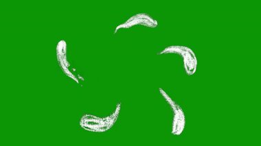 Tasarım için soyut yeşil arkaplan.