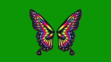 Kelebek. Vektör çizimi. Kelebek.