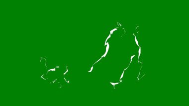 yeşil arka planda izole edilmiş yeşil noel ağacı.