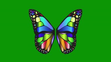 Beyaz izole bir arkaplanda 3 boyutlu renkli kelebek çizimi