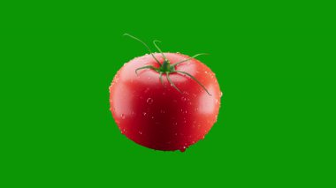 Kırmızı arka planda yeşil yapraklı kırmızı domates. taze organik sebzeler. Üst Manzara. düz yat