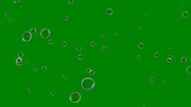 Beyaz arkaplanda yeşil çiy damlaları