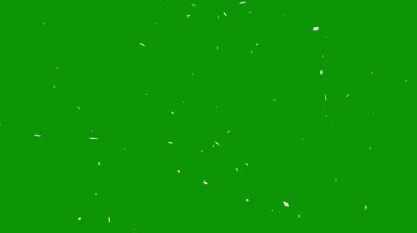 Arkaplan için yeşil çimen dokusu