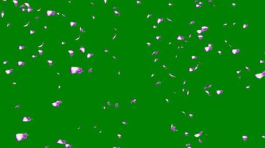 Beyaz arkaplanda yeşil çimen