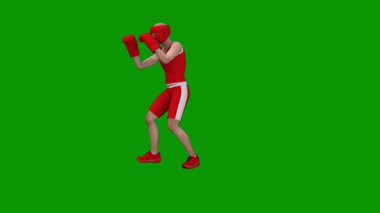 İzole edilmiş bir erkek boksörün 3 boyutlu görüntüsü