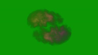 fantezi kaotik renkli fraktal desen. Soyut fraktal şekiller. 3d resimleme arkaplanı veya duvar kağıdı oluşturuluyor