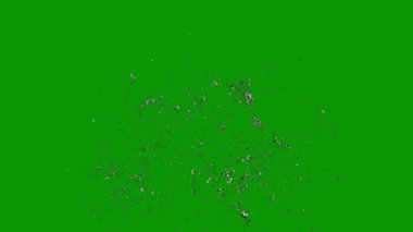 Renkli çizgileri olan açık yeşil vektör dokusu. Keskin çizgileri olan parlak renkli çizimler. Reklam, poster, broşür deseni.