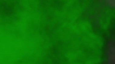 fantezi kaotik renkli fraktal desen. Soyut fraktal şekiller. 3d resimleme arkaplanı veya duvar kağıdı oluşturuluyor