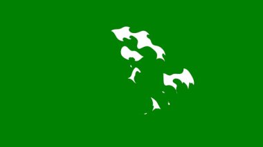 yeşil arkaplanda yeşil yaprak