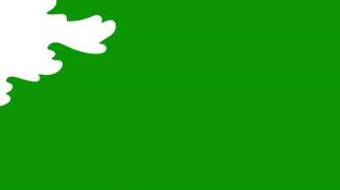 Beyaz arkaplanda yeşil yaprak.