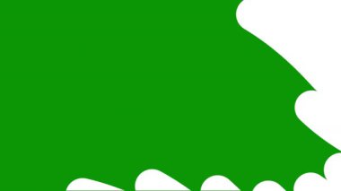 dekoratif arkaplanın yeşil rengi