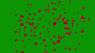 Renkli açık yeşil vektör arkaplanı. Rastgele şekillerle soyut tarzda dekoratif tasarım. Duvar kağıtları için zarif tasarım.