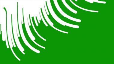 Beyaz arkaplanda yeşil yaprak dokusu