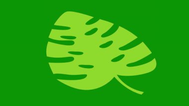 yeşil arkaplanda yeşil yaprak simgesi