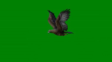 Siyah arkaplanda yeşil karga