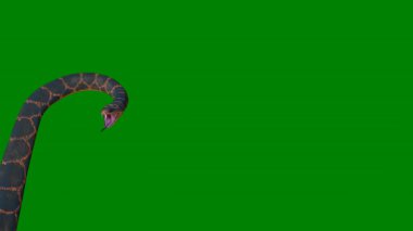 yeşil bir arka plan üzerine yılan