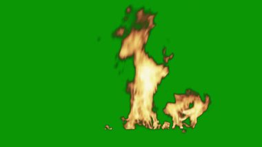 Yangın alevleri siyah arkaplanda izole edildi