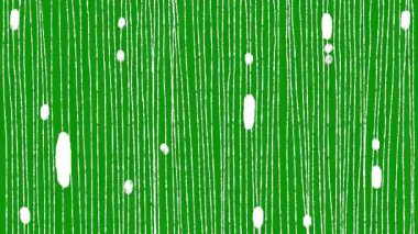 Tekrarlanan çizgilerle açık yeşil vektör dokusu.