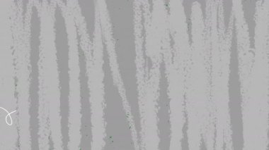 Yeşil yapraklı ve beyaz renkli soyut arkaplan