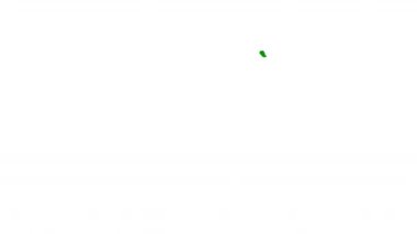 zemin üzerine yeşil yaprak.