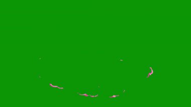 soyut renkli arkaplan dokusu