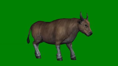 Yeşil arka planda izole edilmiş 3 boyutlu yeşil bir boğa görüntüsü.