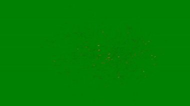 Beyaz arka planda yeşil yapraklar. Yaprağın dokusunu. arkaplan yeşil.