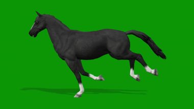 3D illüstrasyon - yeşil arka planda at