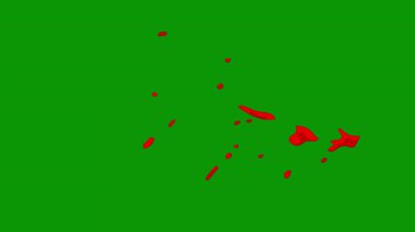 arkaplanın yeşil rengi