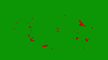 desenli yeşil arkaplan