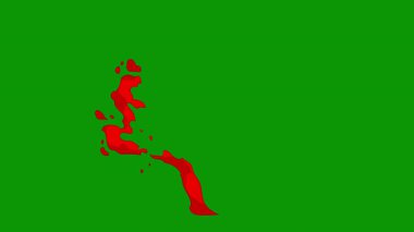 Beyaz Rusya Cumhuriyeti bayrağı.