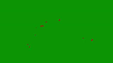 yaratıcı renkli arka plan