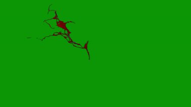 yaratıcı renkli arka plan