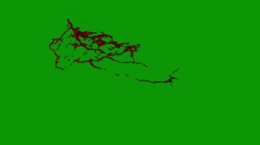 Siyah arkaplanda yeşil yaprak