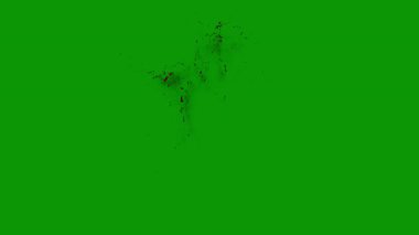 yeşil yaprak arkaplan dokusu