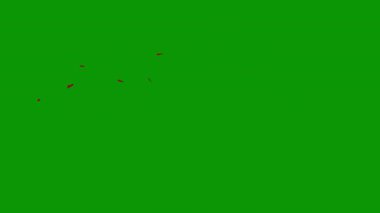 Montgro bayrağı. arkaplanda ulusal bayrak.