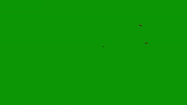 Kopya alanı, vektör illüstrasyon deseni olan soyut yaratıcı arkaplan