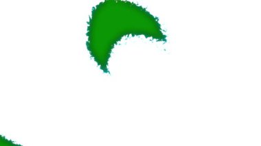 yeşil yaprak arkaplan, beyaz arkaplan