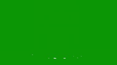 Yeşil arka planda Nijerya bayrağı