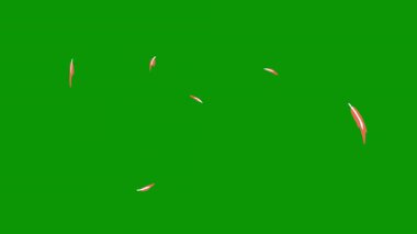 Yeşil yaprağın arkaplanı.