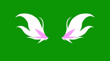 Beyaz arkaplanda yeşil kanatlar.