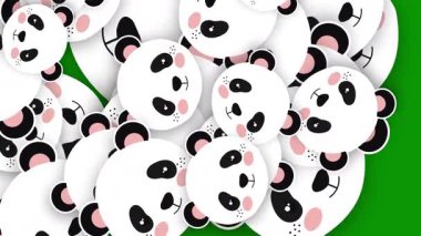 Panda ve panda desenleri