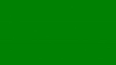 Disklerle açık yeşil vektör dokusu. Doğa tarzında renkli kabarcıklı bir illüstrasyon. iş ilanınız için tasarım.