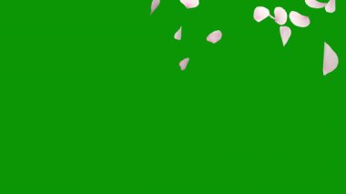 Renklerin, dokuların ve ilginç desenlerin mükemmel bir karışımı ile arkaplan