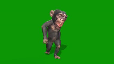 Yeşil arka planı olan şirin bir maymunun 3 boyutlu görüntüsü.