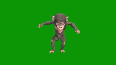 Yeşil maymunun 3 boyutlu resmi