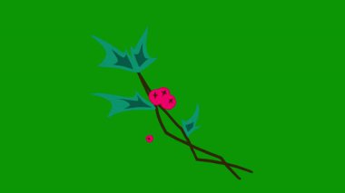 Rengarenk yapraklı, koyu renklidir onlar.