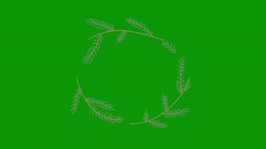 Beyaz arka planda yeşil yaprakların güzel bir görüntüsü.