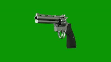 Silah yeşilde izole edildi