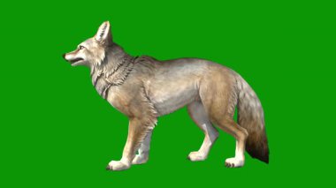 Yeşil arka planda bir kurdun 3 boyutlu görüntüsü